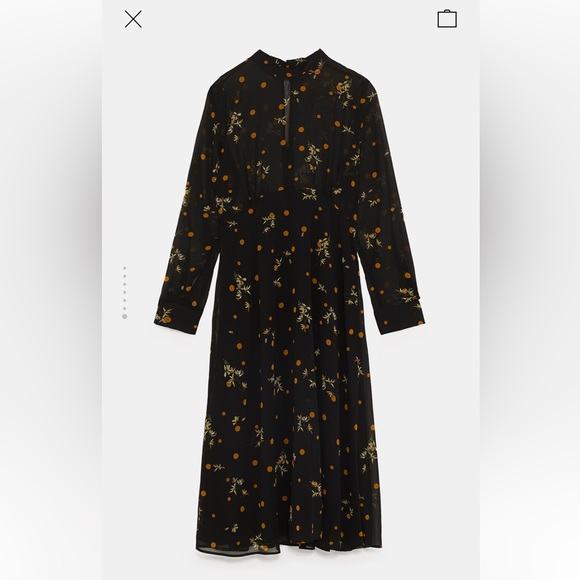 Zara Floral & Polka Dot Printed A-line Dress - Picture 2 of 7